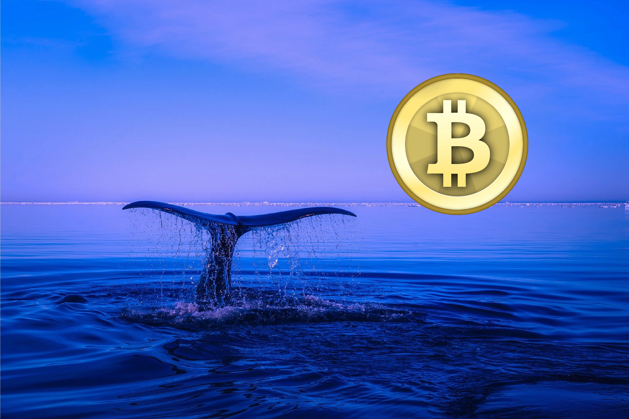 Ожил биткоин-кит, который спал 12 лет: с кошелька перевели BTC на сумму $44 млн