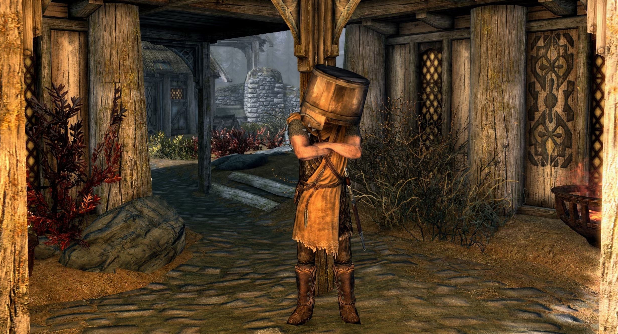 Хитрий трюк із відрами на NPC у Skyrim з'явився поза планом розробників