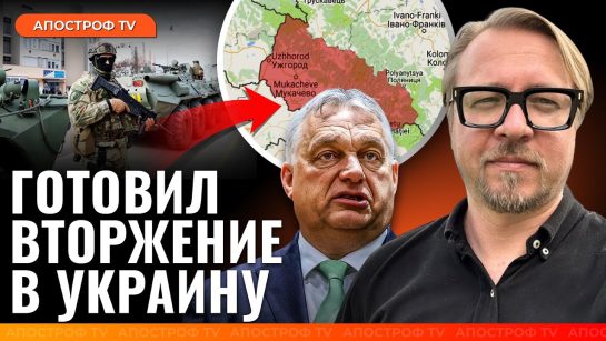 Борис Тизенгаузен Биография Личная Жизнь: Карьера и Личность