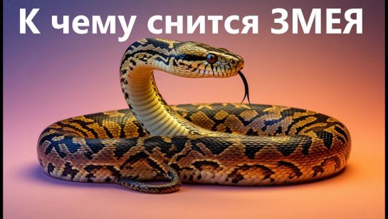 К Чему Снится Змея: Толкования, Символика и Значение в Снах
