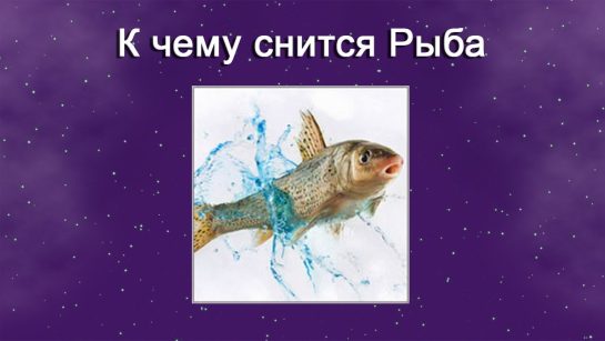 К Чему Снится Рыба: Значение, Символика и Толкования Сна