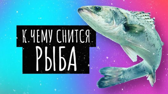 К Чему Снится Рыба: Значение, Символика и Толкования Сна