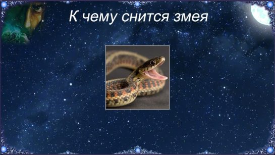 К Чему Снится Змея: Толкования, Символика и Значение в Снах
