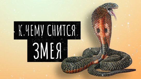 К Чему Снится Змея: Толкования, Символика и Значение в Снах