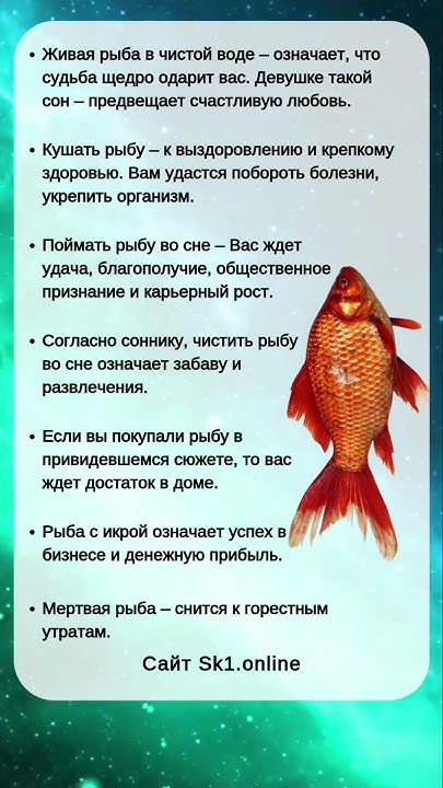 К Чему Снится Рыба: Значение, Символика и Толкования Сна