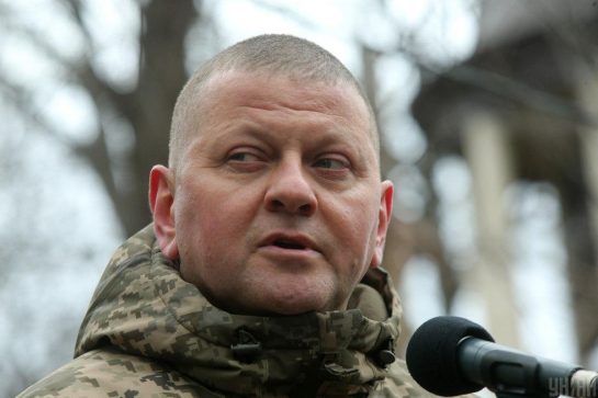 Валерий Залужный: Родители, национальность, биография и личные факты