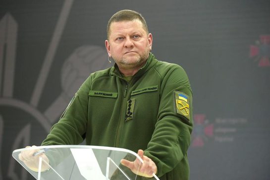 Валерий Залужный Родители Национальность: подробности биографии и карьеры
