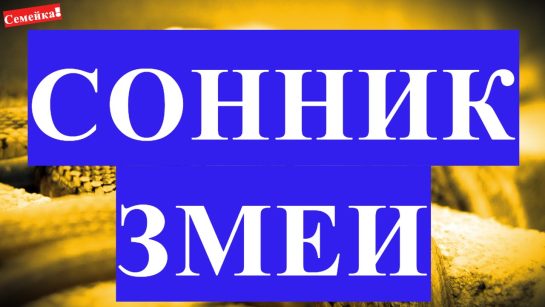К Чему Снится Змея: Толкования, Символика и Значение в Снах