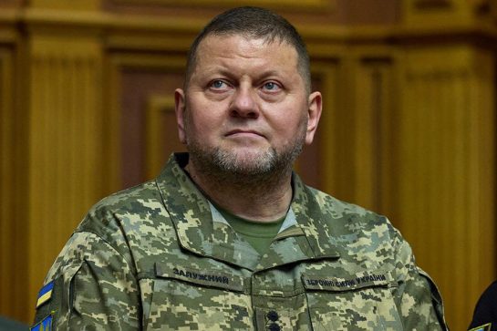 Валерий Залужный Родители Национальность: подробности биографии и карьеры