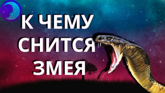 К Чему Снится Змея: Толкования, Символика и Значение в Снах