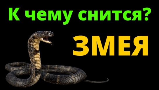 К Чему Снится Змея: Толкования, Символика и Значение в Снах