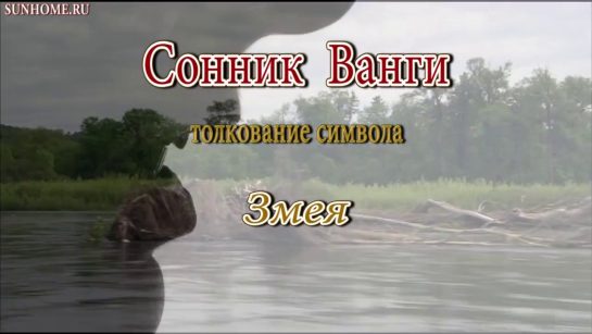 К Чему Снится Змея: Толкования, Символика и Значение в Снах