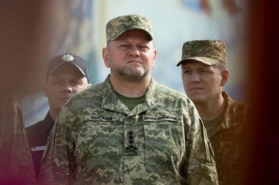 Валерий Залужный Родители Национальность: подробности биографии и карьеры