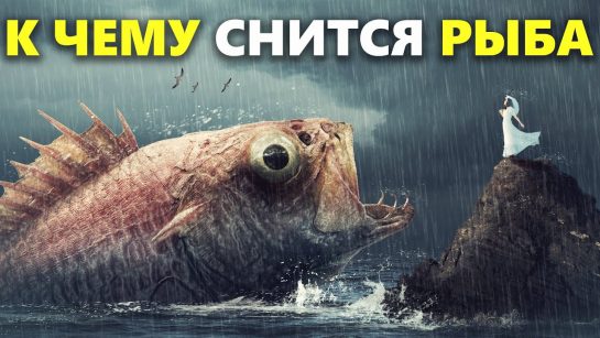К Чему Снится Рыба: Значение, Символика и Толкования Сна